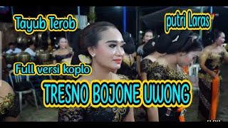 TAYUB TEROB_TRESNO BOJONE UWONG_versi full koplo