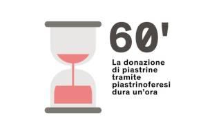 ABC Dona - Donazione di piastrine - 7