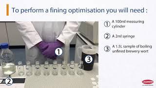 Copper Fining Optimization -  by AB Vickers