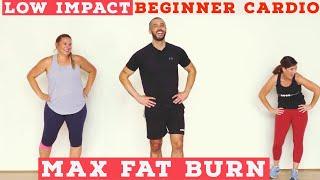 Fat burning Beginner LOW IMPACT home cardio workout - all standing