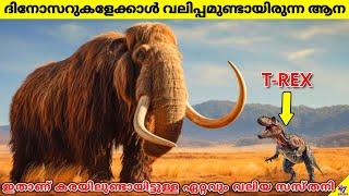 Largest Land Mammal Ever Lived On Earth Was Bigger Than Dinosaurs  Facts Malayalam  47 ARENA