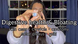  Reiki for Digestive health & Bloat • rain asmr  anatomy crystals hand movements healing 