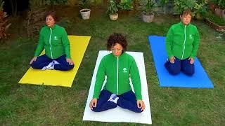 Yoka System  Yoka Yoga