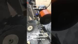 Мурка станок автоматический заточной дисковых пил sharpening machine circular saws pilam.ru #shorts