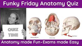 Funky Friday Anatomy Quiz