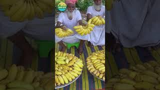 Kolavog - Ripe Banana Recipe #villagegrandpacooking #banana #villagelife #bengalifood