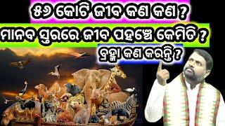 ୫୬ କୋଟି ଜୀବ କଣ କଣ ? 56 Crores Creature । @BipiniBihariSamal । Brahma । Pravachan । ଓଡ଼ିଆ ପ୍ରବଚନ ।