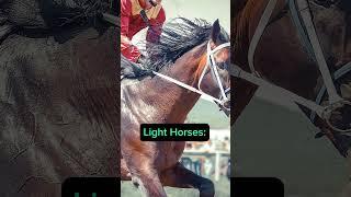 Gallop Through Time Discovering the Worlds Horse Breeds #horses #horsebreed #horsemanship #shorts