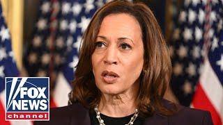 Democrat accuses campaign for ‘cocooning’ Kamala Harris This is ‘red meat’ for GOP