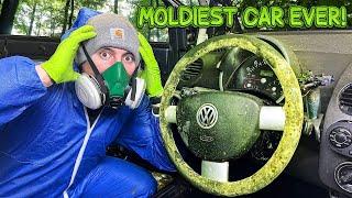 Deep Cleaning The MOLDIEST Beetle EVER BIOHAZARD First Detail In YEARS  Car Detailing Restoration