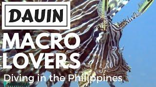 Diving DAUIN - Philippines Dumaguete underwater 2016 underwater Travel Vlog