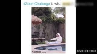 Most Hilarious Zoom Challenge Compilation