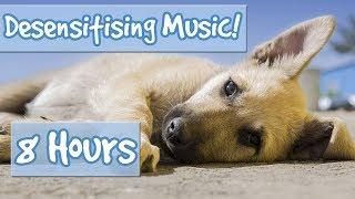 Desensitising Dog Music Music with Sound Effects to Desensitise Dogs to Noises Reduce Anxiety