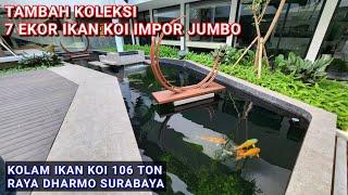 KOLEKSI 7 EKOR IKAN KOI IMPOR JUMBO  KOLAM KOI 106 TON RAYA DHARMO SURABAYA