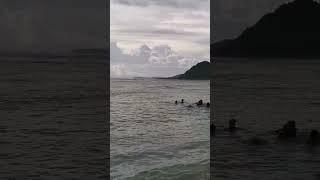 berenang di pantai yang indah #emilychandra #emily #oliviachandra #viral #olivia #beach