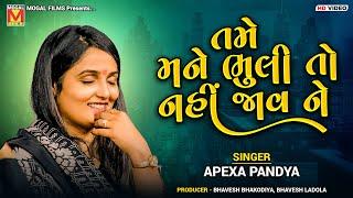 તમે મને ભુલી તો નહીં જાવ ને  Apexa Pandya  Tame Mane Bhuli To Nai Jav Ne  New Songs