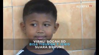 Viral Bocah SD Bisa Tirukan 7 Jenis Suara Burung