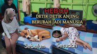 Heboh .. detik detik anjing berubah jadii manusia azab anak durhaka 