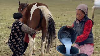 HORSE MILKING  Nomad life in the most remote part of the world