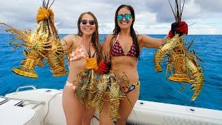 FOUND RARE Lobster Migration while Freediving Catch Clean Cook South Florida