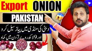 How to export onion from Pakistan to DubaiDubai Onion ExportDubai Business @ImportExportwithUsman