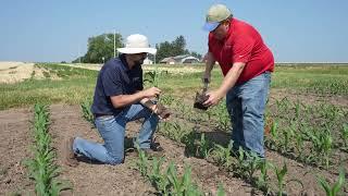 Bumper Crops Soil Moisture Below the Surface