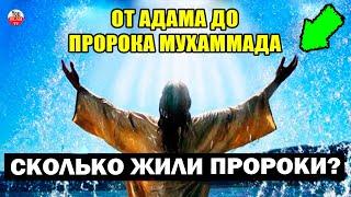 ПОРЯДОК ПОЯВЛЕНИЯ ПРОРОКОВ ОТ АДАМА ДО ПРОРОКА МУХАММАДА СКОЛЬКО ВРЕМЕНИ ОНИ ЖИЛИ ГДЕ УМЕРЛИ