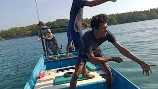 Semua berhamburan saat ikan besar berdatangan