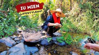 Iu Mien Lifestyle EP.41 - Simply fishing in the river with fern sticks