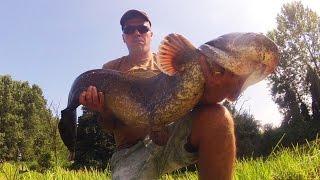 Siluro a casting in laghetto con jerkbait