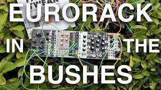 The path to Patch & Tweak & Eurorack patching in the bushes