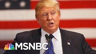 President Donald Trump Narrows Supreme Court Pick To 3 Appeals Court Judges  MSNBC