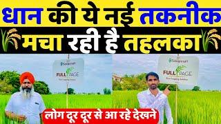 धान की इस नई तकनीक ने तहलका मचा रखा है    Dhan ki kheti  Savannah FULL page  Paddy  Dhan Kheti