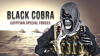 Black Cobra  Egyptian special forces  Military motivation