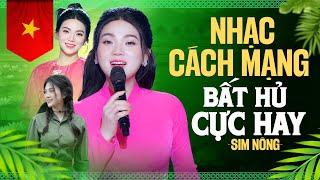 NHẠC CÁCH MẠNG BẤT HỦ HAY NHẤT I Liên Khúc Tàu Anh Qua Núi Rừng Xanh Vang Tiếng Ta Lư I Sim Nông