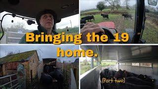 121223  Bringing the 19 home  Part two