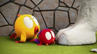 Wheres Chicky? SEASON 3  NEW FRIEND  Cartoon in English for Kids  New episodes