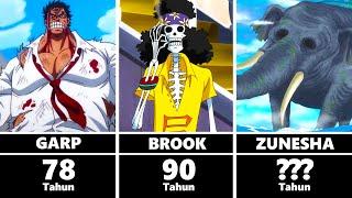 Karakter Paling Tua di Dunia One Piece