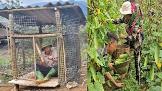 Cùng Chồng  và Con Gái thu hoạch vườn Dưa leo đầu mùa mang đi chợ phiên bán - Lộc Thị Hường