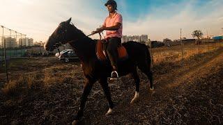 I learned Horse Riding in 30 Days