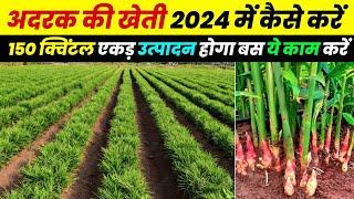 Adrak ki kheti  अदरक की खेती कैसे करें  Ginger farming in India  A to Z जानकारी 2024 में