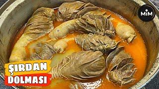 ADANANIN MEŞHUR ŞIRDAN TARİFİNASIL YAPILIR? SİRDAN NEDİR? DOLMASI NASIL YENİLİR? SOKAK LEZZETLERİ