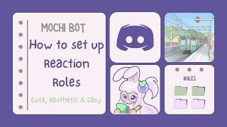 Setting up server Cute Aesthetic Reaction Color Roles │Mochi Bot │Easy Dashboard│Discord│