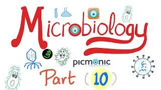 Picmonic Microbiology - Pseudomonas Proteus & Salmonella - Gram-Negative Rods - Part 10