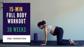 Week 38 of Pregnancy  15-min Full Body Prenatal Workout