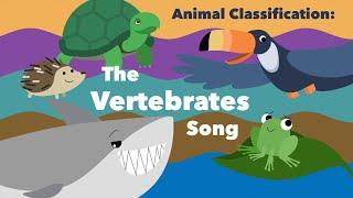 Animal Classification The Vertebrates Song