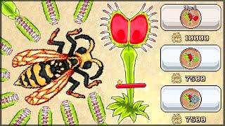 Pocket Ants Симулятор Колонии - ЗАЩИТНОЕ РАСТЕНИЕ ВЕНЕРИНА МУХОЛОВКА Новое обновление МУХОЛОВКА