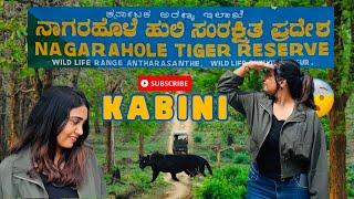 KABINI forest safari ಕಬಿನಿ ಅರಣ್ಯ ಸಫಾರಿ complete guide  time  booking  ಕನ್ನಡ