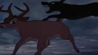 Bambi dog chasefight