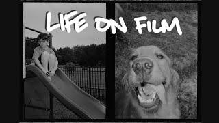 pentax 17 and half-frame diptychs  life on film